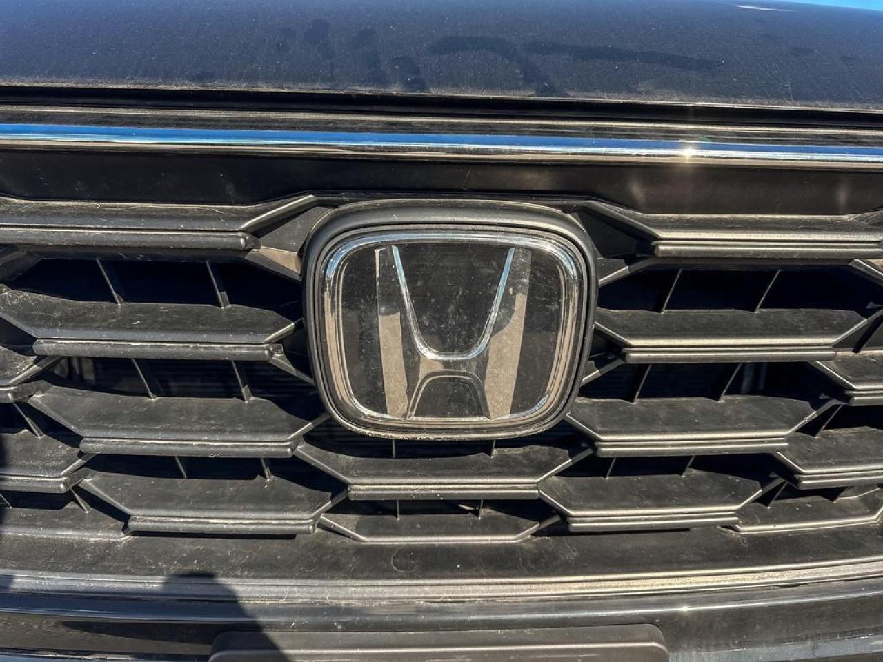 2024 Honda CR-V LX Photo