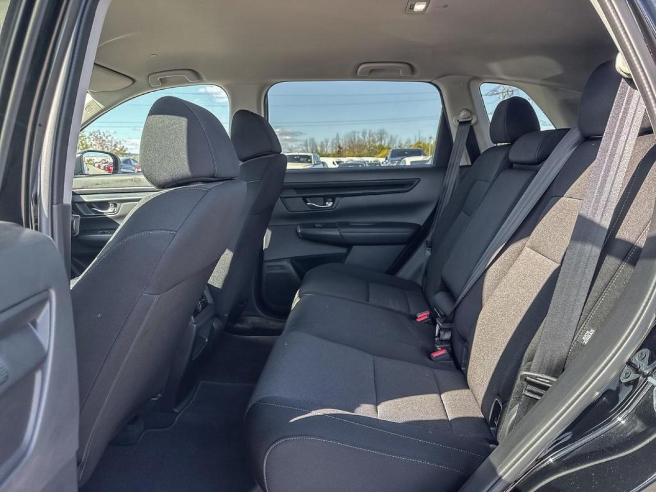 2024 Honda CR-V LX Photo