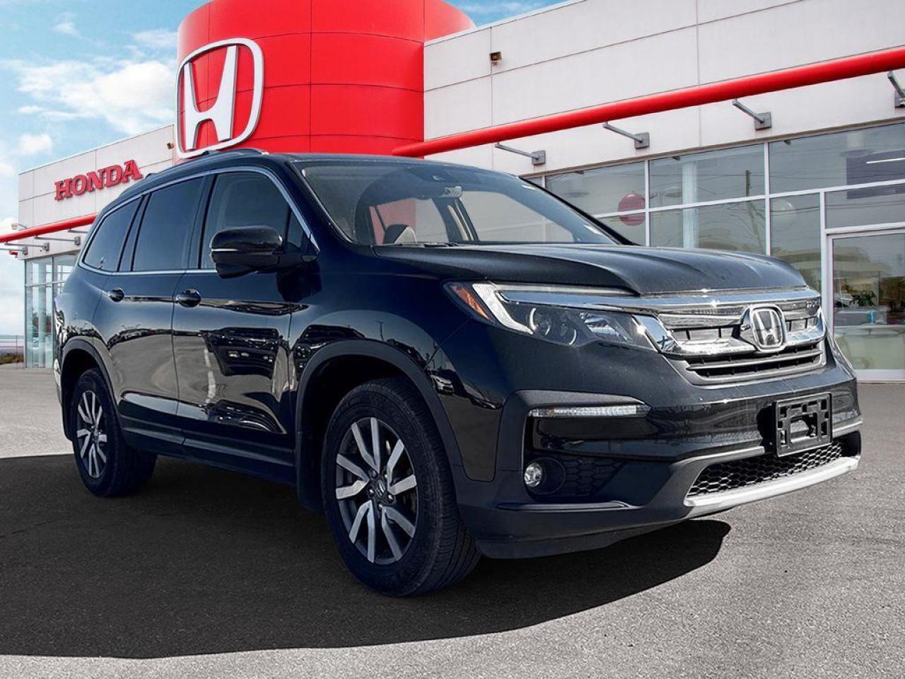 2022 Honda Pilot EX-L Photo
