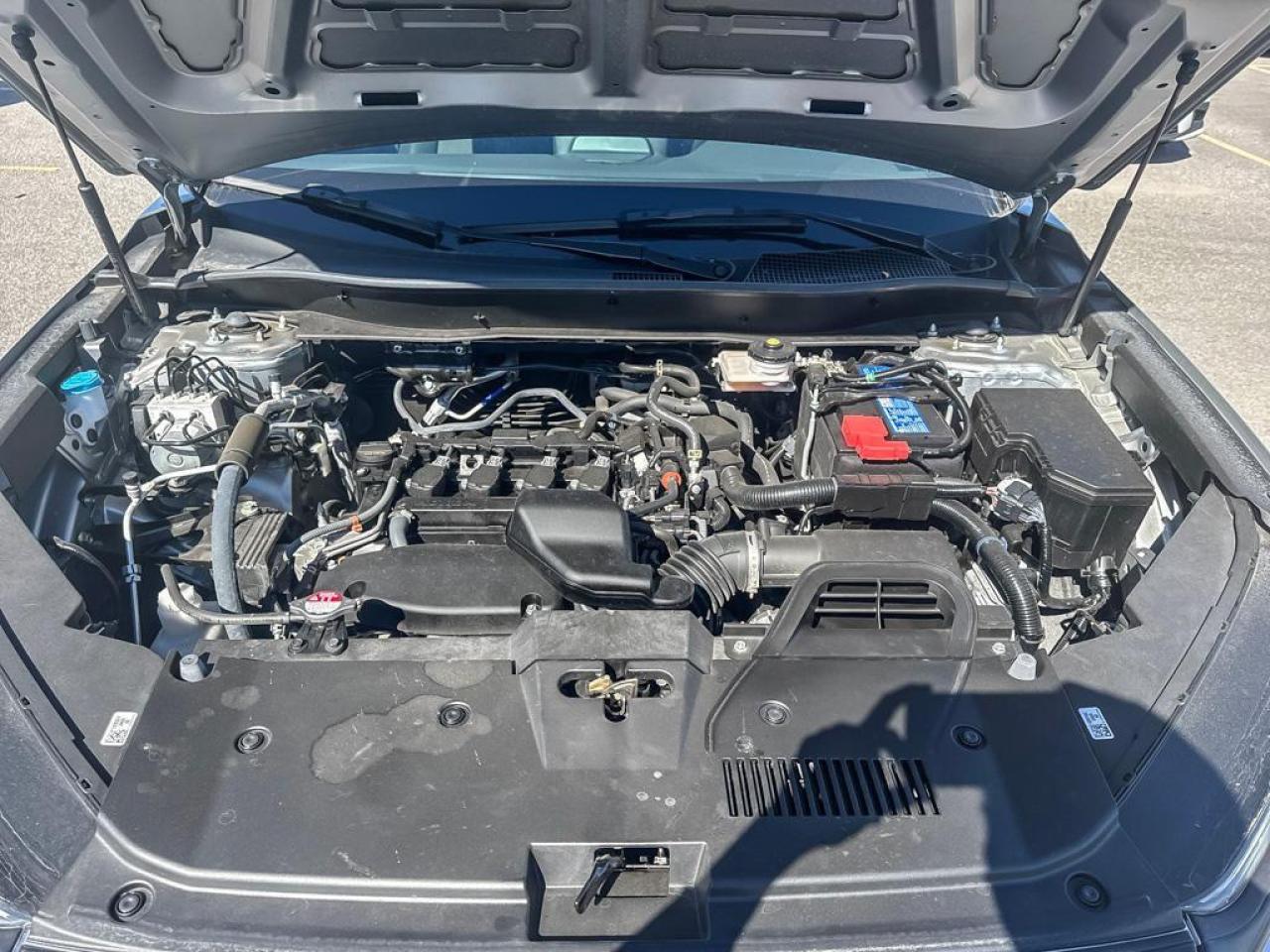 2025 Honda CR-V LX Photo