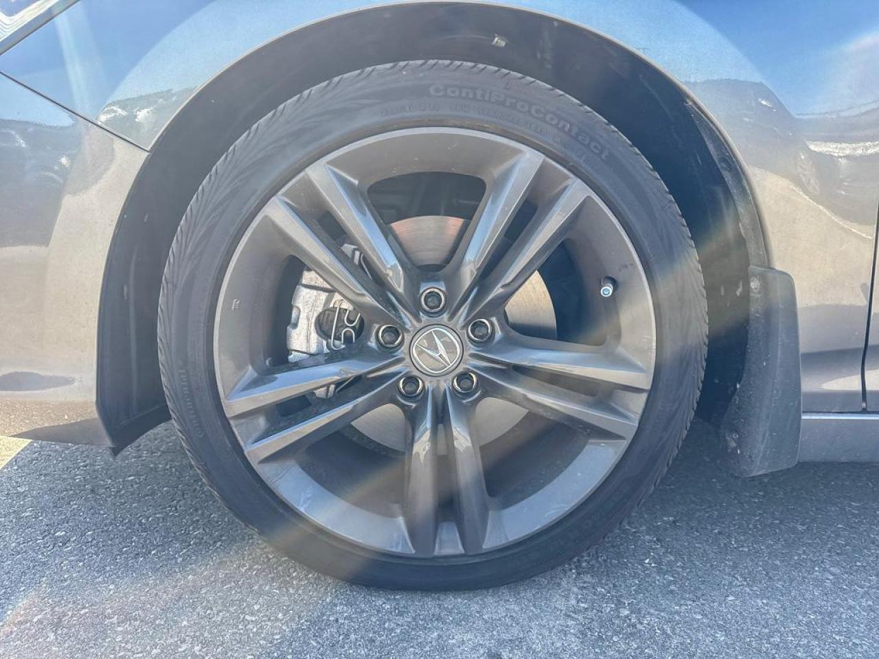 2025 Acura Integra INTEGRA Photo