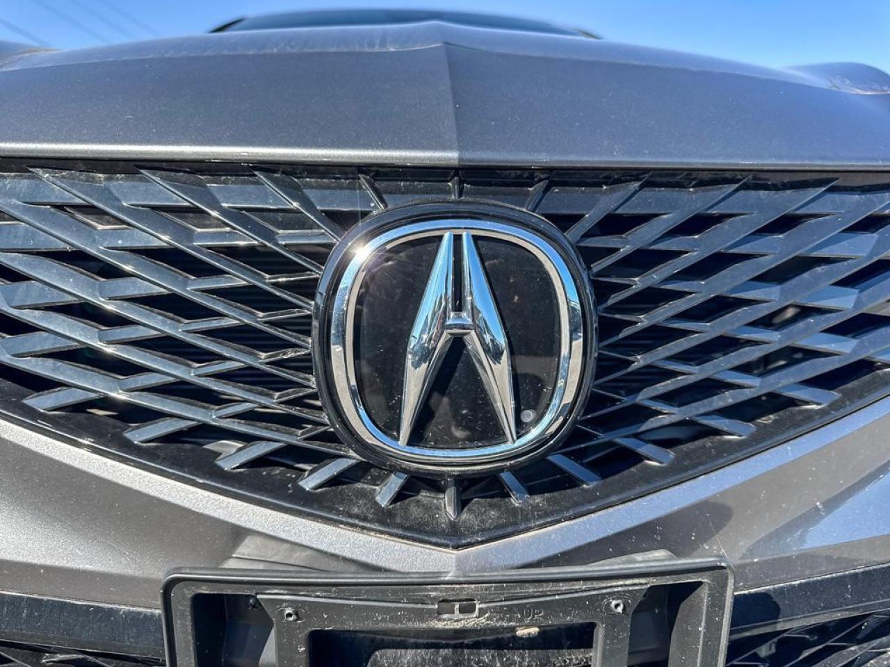 2025 Acura Integra INTEGRA Photo