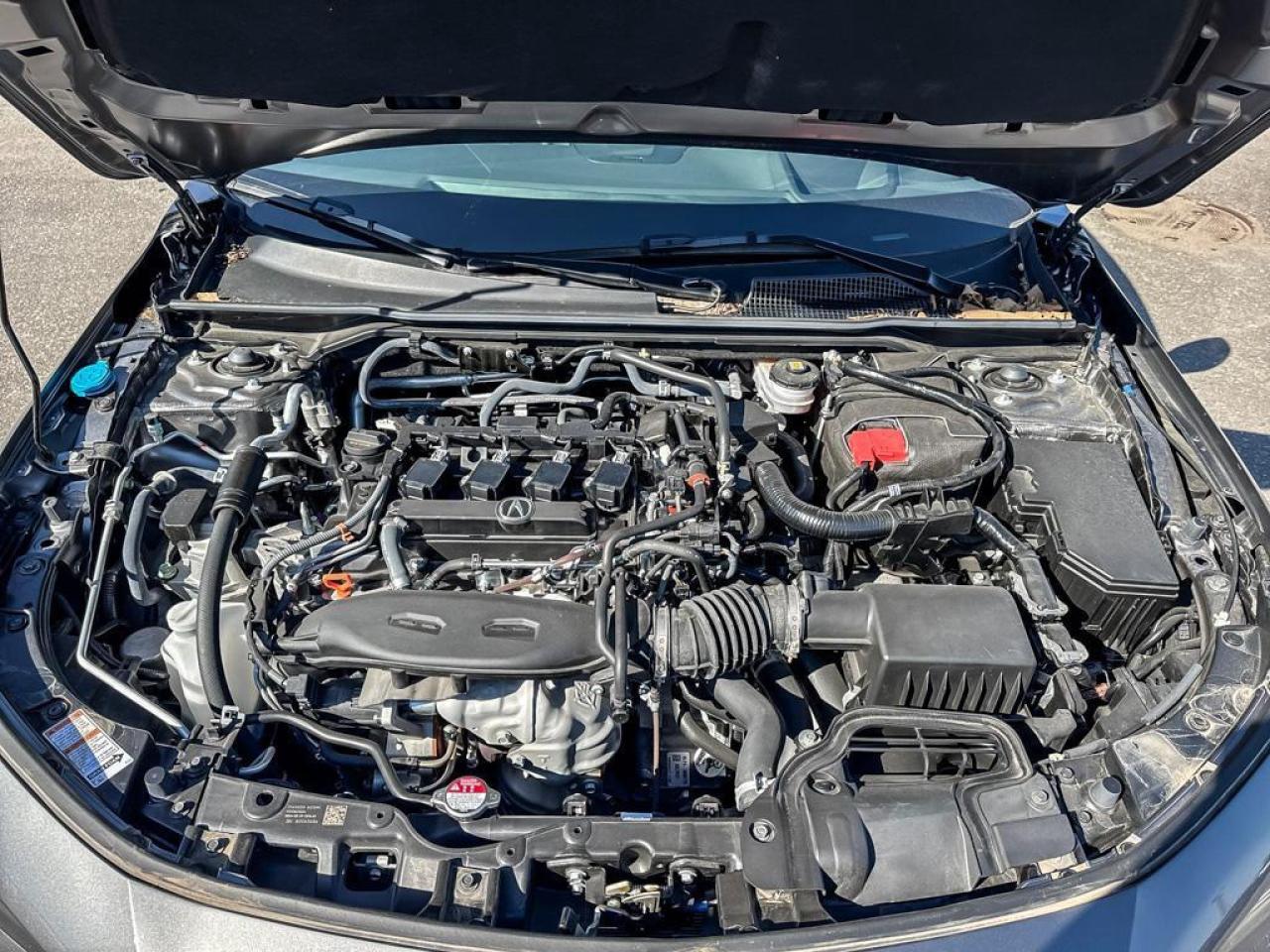 2025 Acura Integra INTEGRA Photo