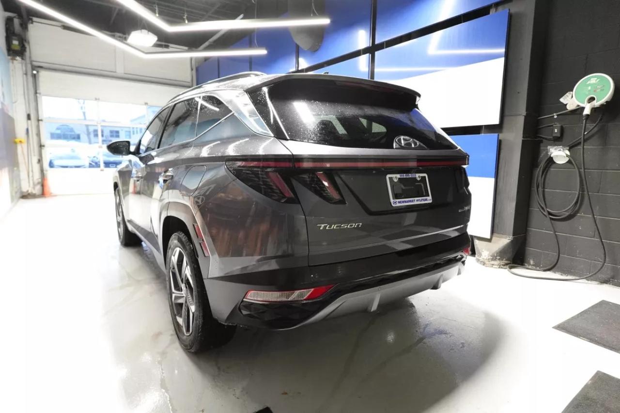 2024 Hyundai Tucson Hybrid LUXURY HYBRID   HEATED SEATS   HEATED WHEEL   APPL Photo