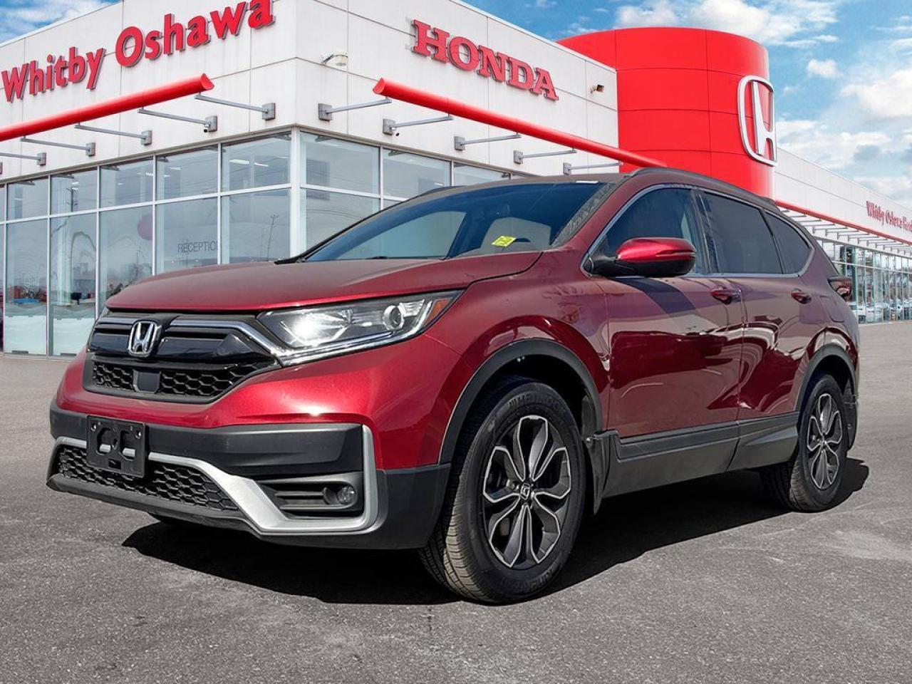 2020 Honda CR-V EX-L Photo
