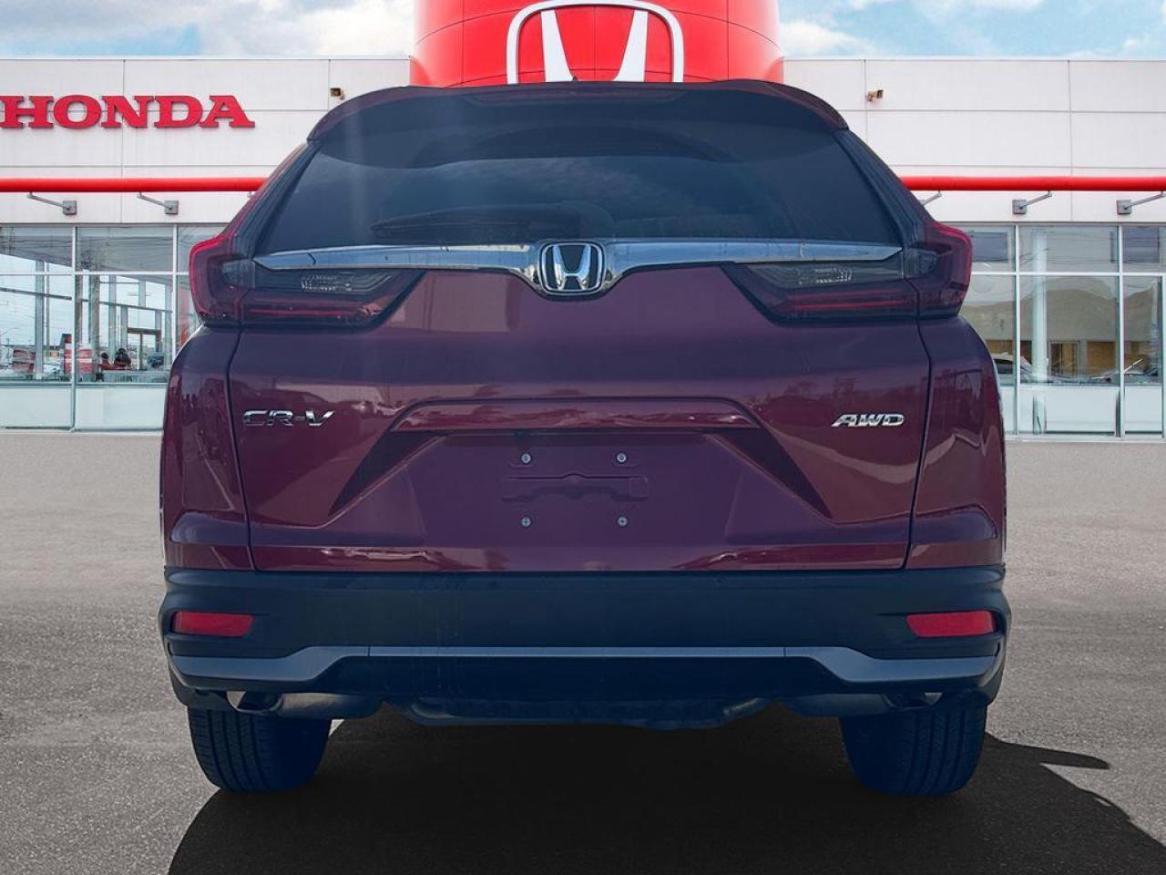 2020 Honda CR-V EX-L Photo