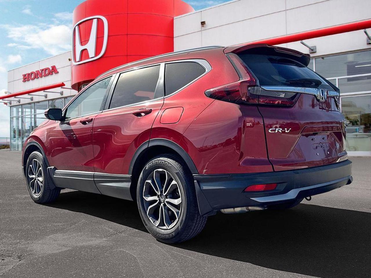 2020 Honda CR-V EX-L Photo