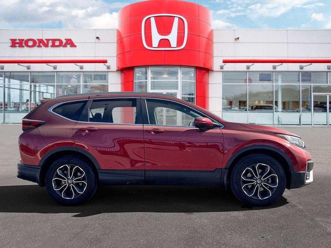 2020 Honda CR-V EX-L Photo