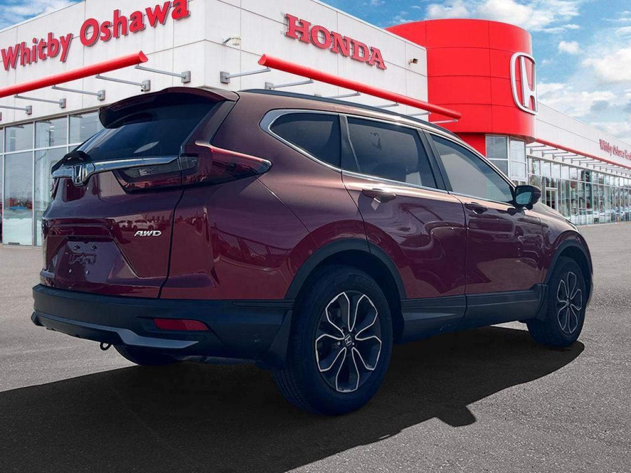 2020 Honda CR-V EX-L Photo