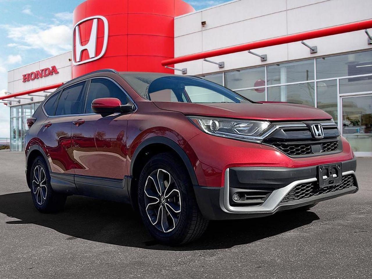 2020 Honda CR-V EX-L Photo