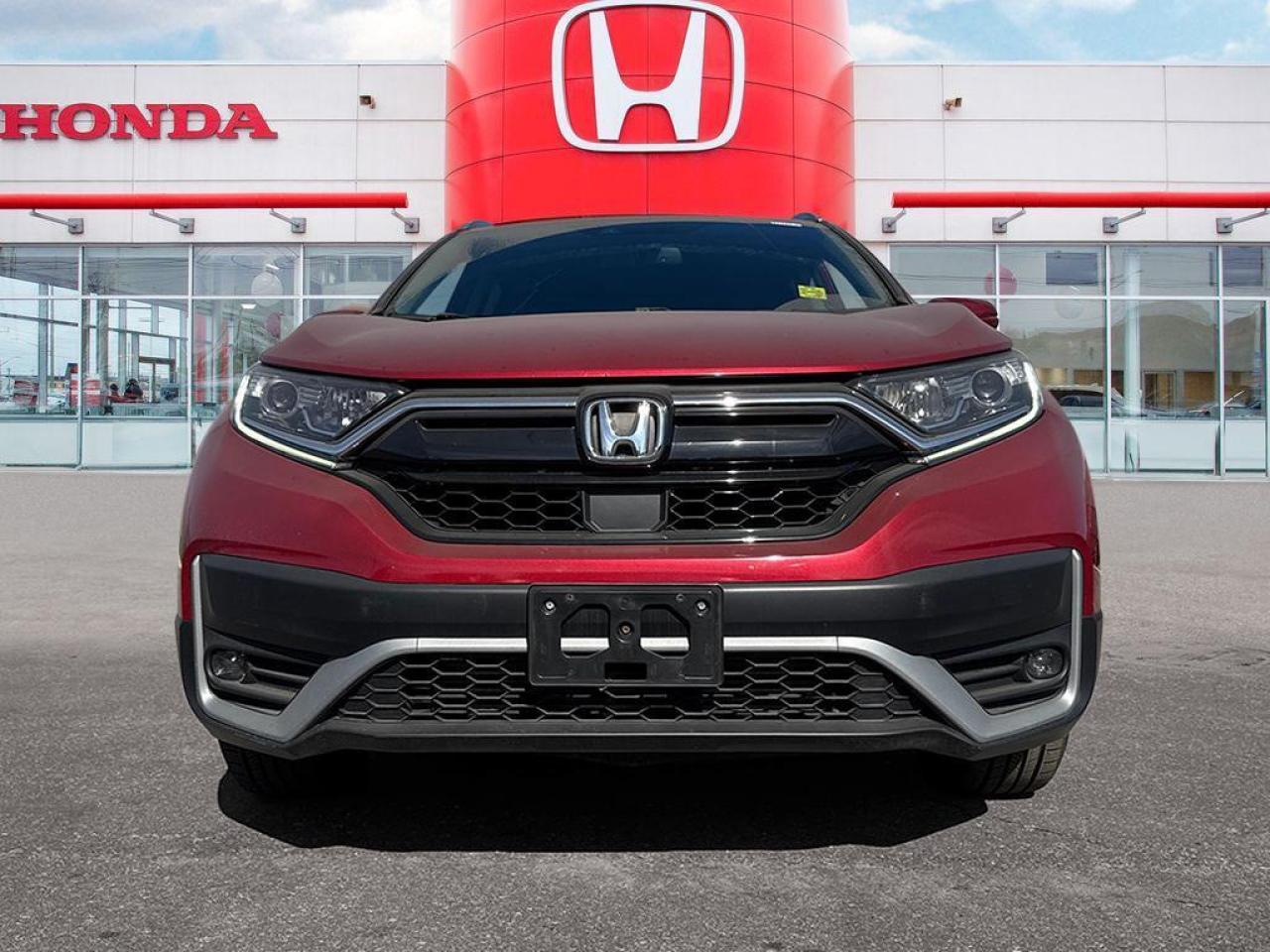 2020 Honda CR-V EX-L Photo