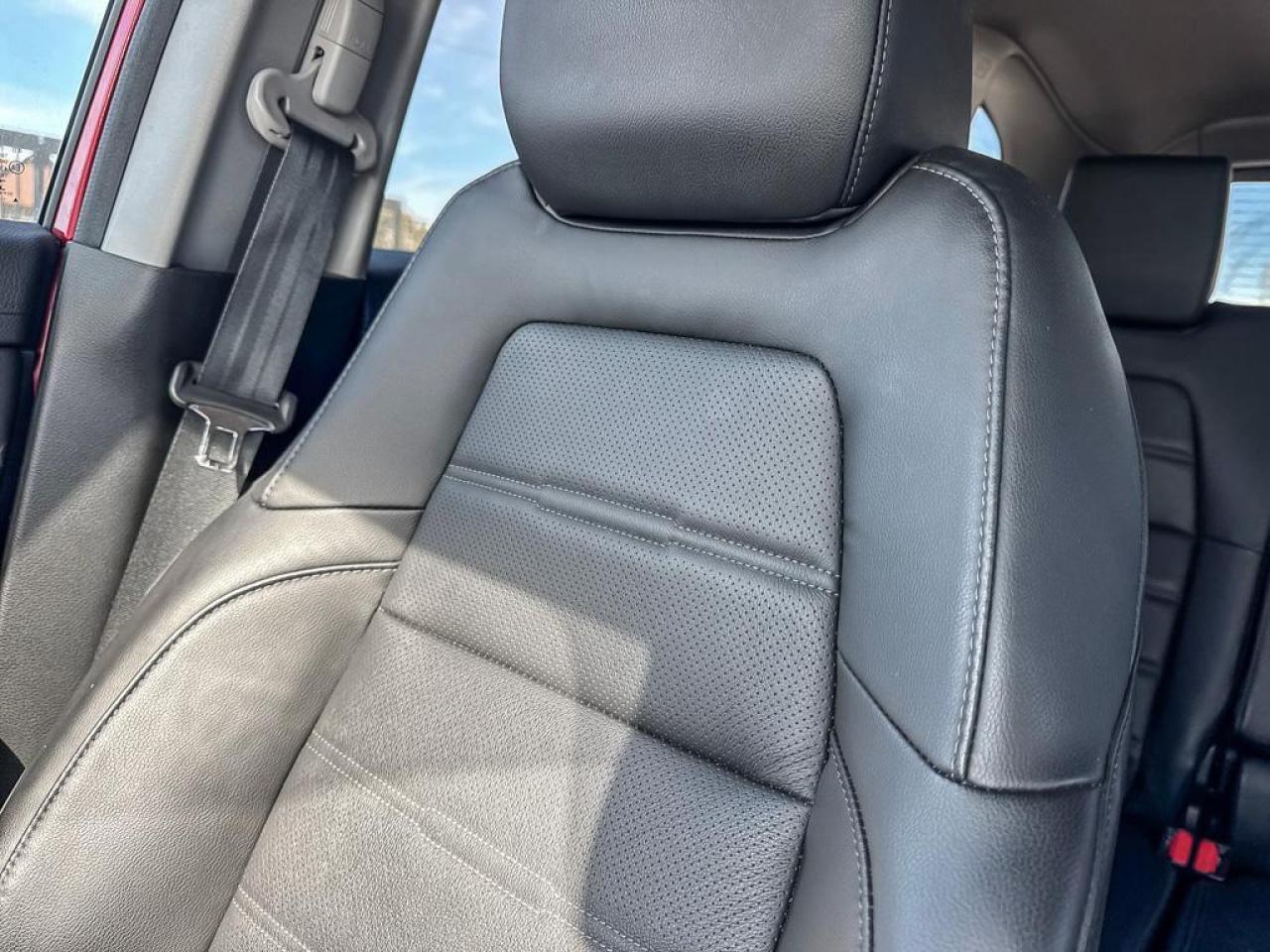 2020 Honda CR-V EX-L Photo