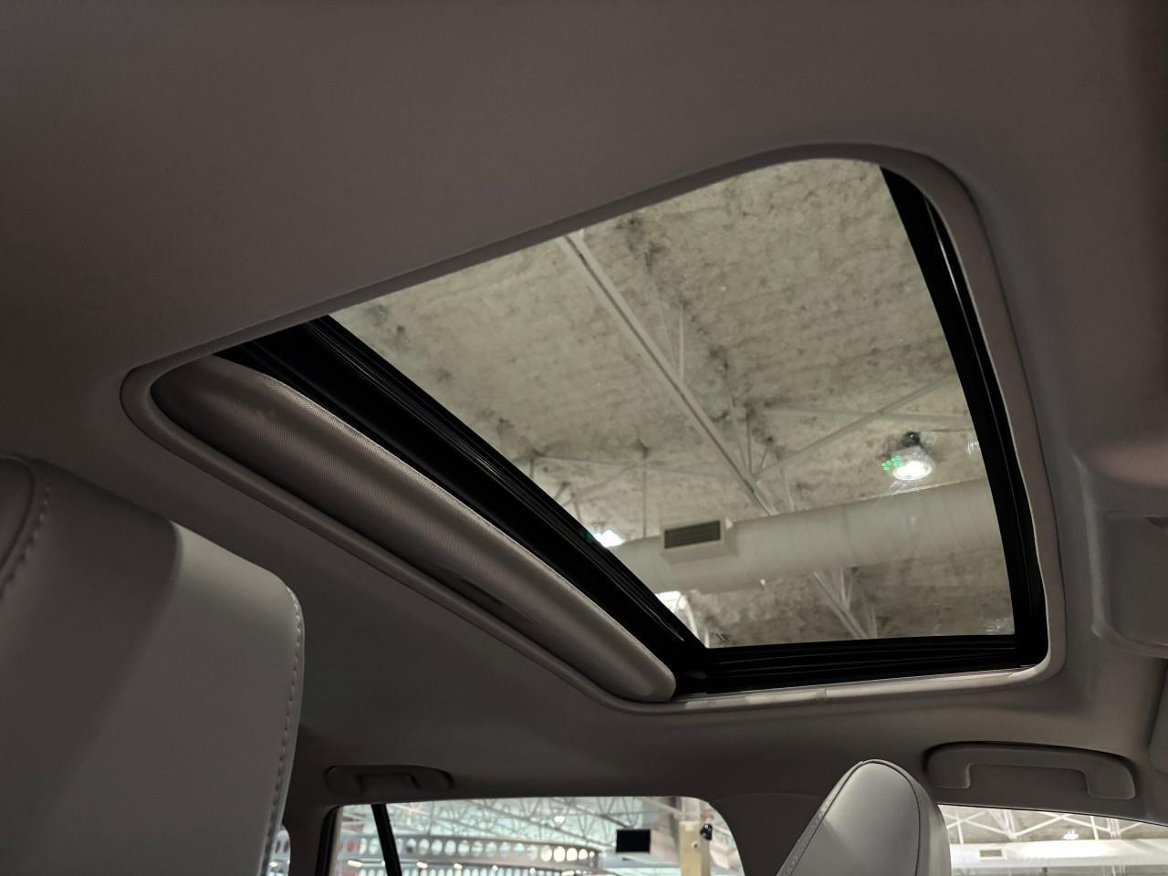 2021 Toyota RAV4 LIMITED  Photo