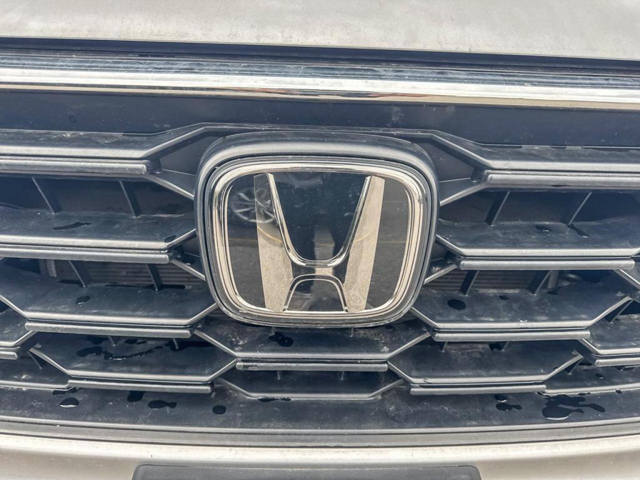 2024 Honda CR-V LX Photo