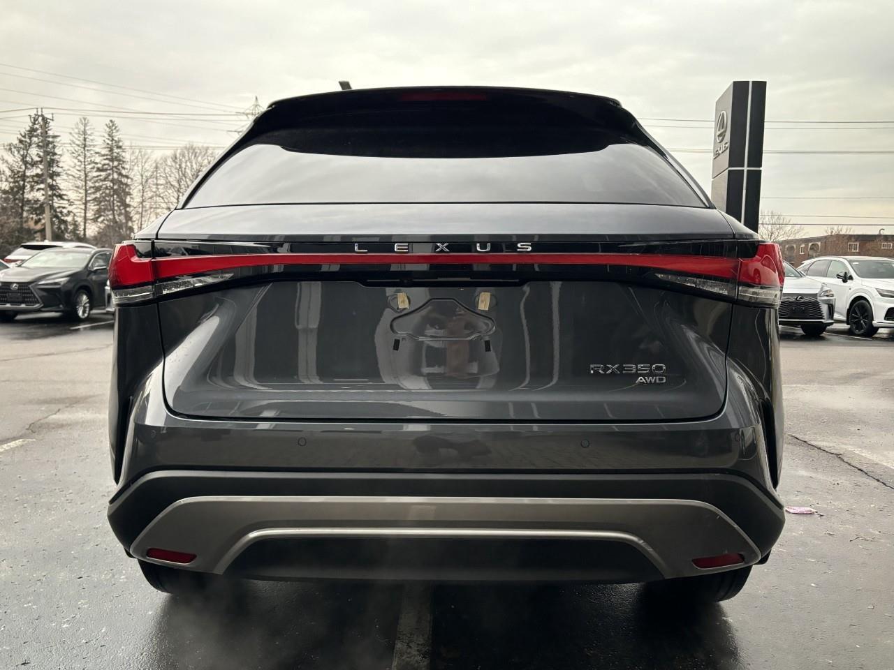 2024 Lexus RX 350  Photo