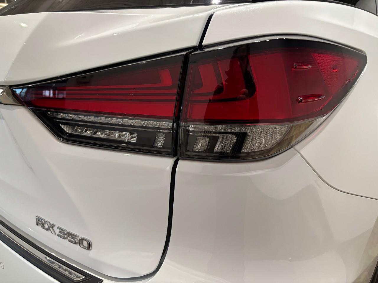 2022 Lexus RX 350  Photo