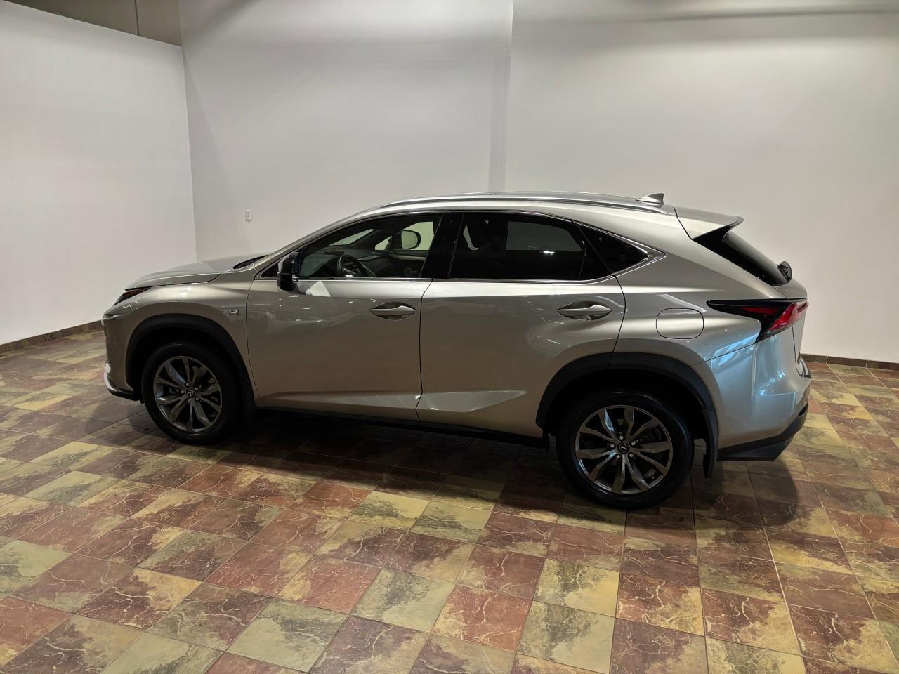 2021 Lexus NX 300  Photo4