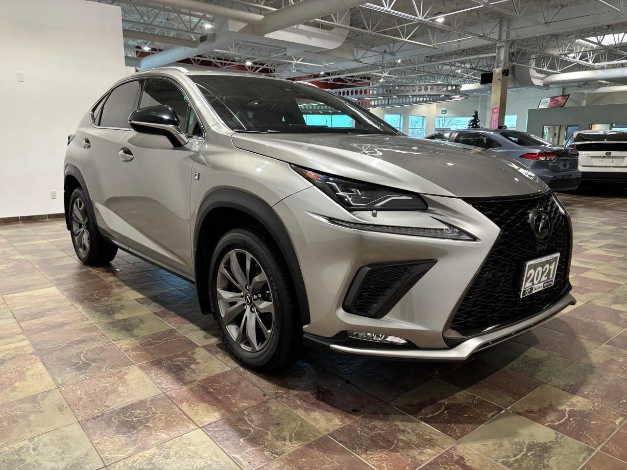 2021 Lexus NX 300  Photo