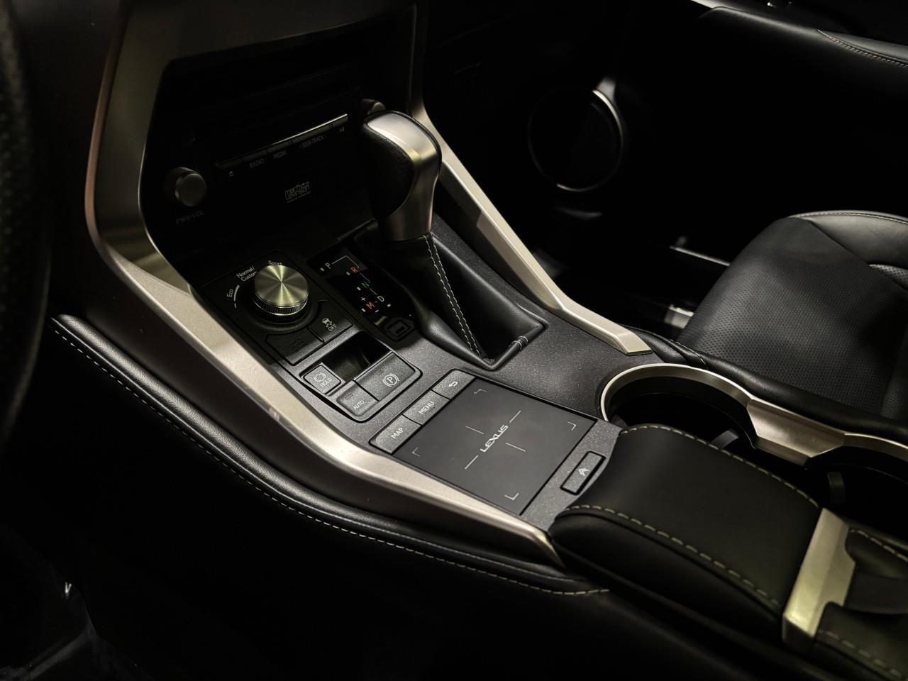 2021 Lexus NX 300  Photo