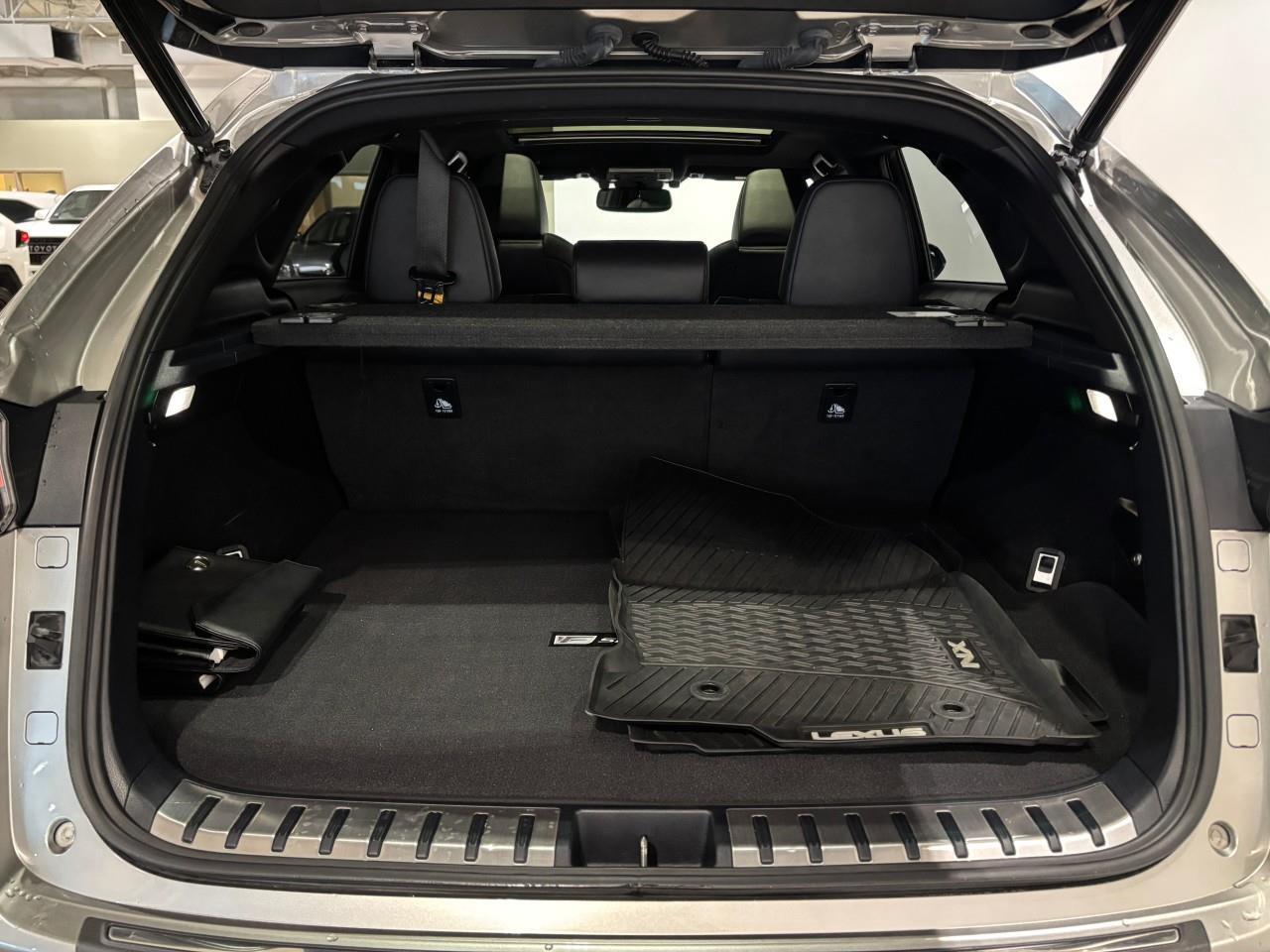 2021 Lexus NX 300  Photo