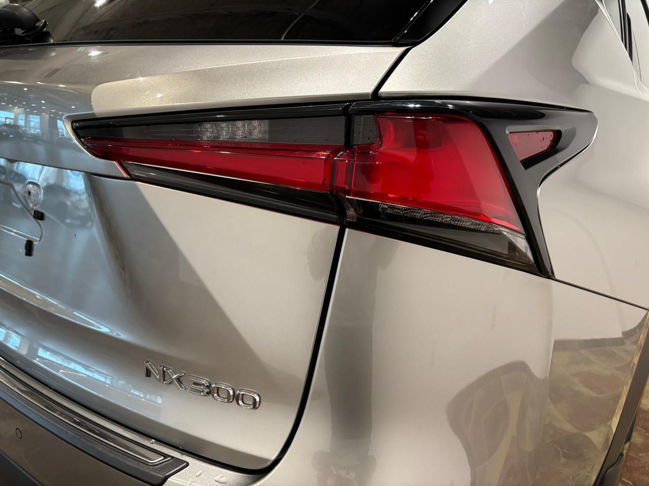 2021 Lexus NX 300  Photo