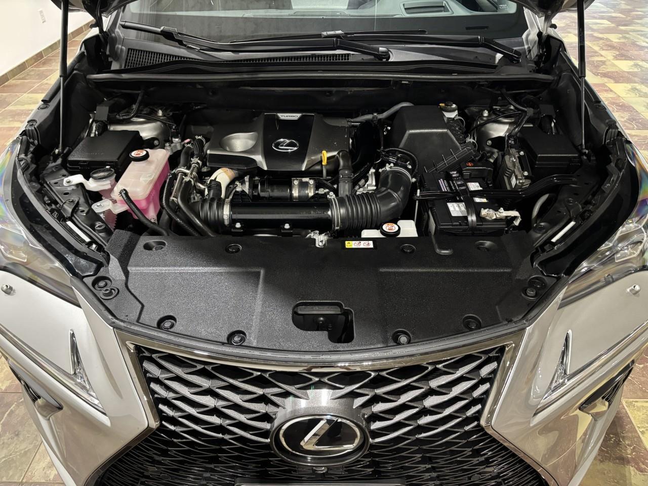 2021 Lexus NX 300  Photo