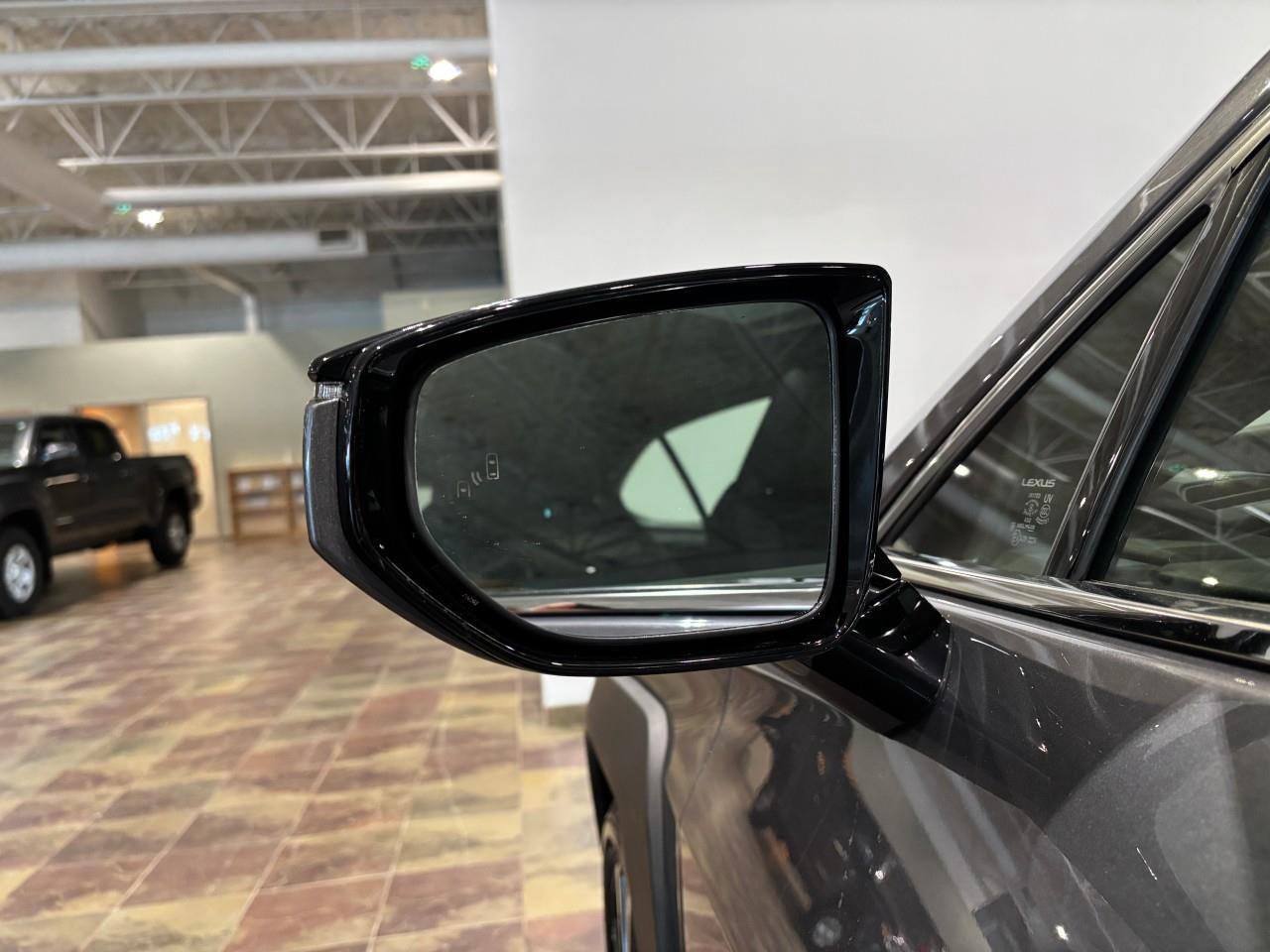 2021 Lexus UX 250H PREMIUM PACKAGE   LEXUS CERTIFIED PRE-OWNED   CARF Photo