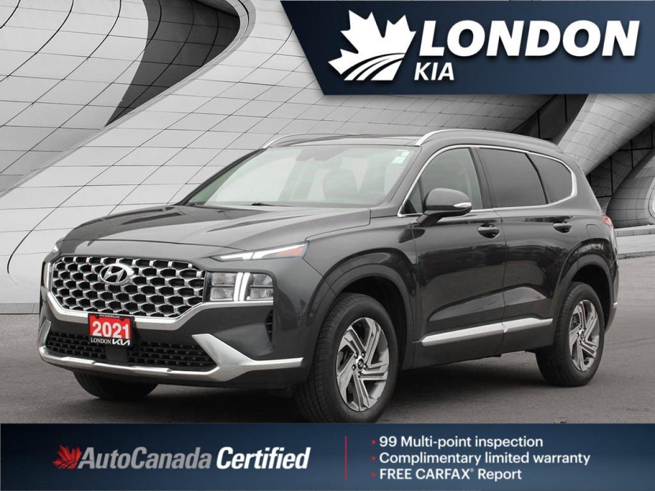 2021 Hyundai Santa Fe Preferred Photo0