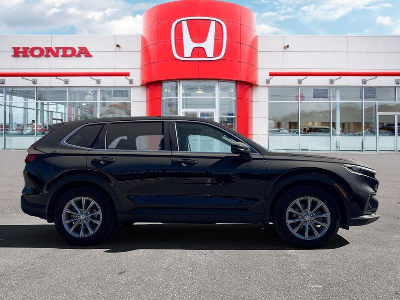 2023 Honda CR-V EX-L Photo