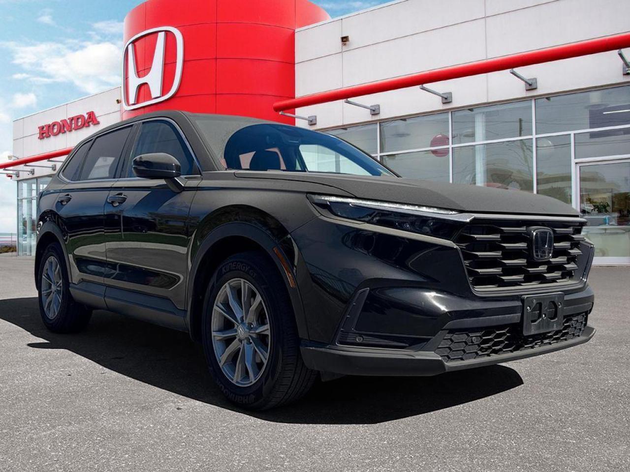 2023 Honda CR-V EX-L Photo
