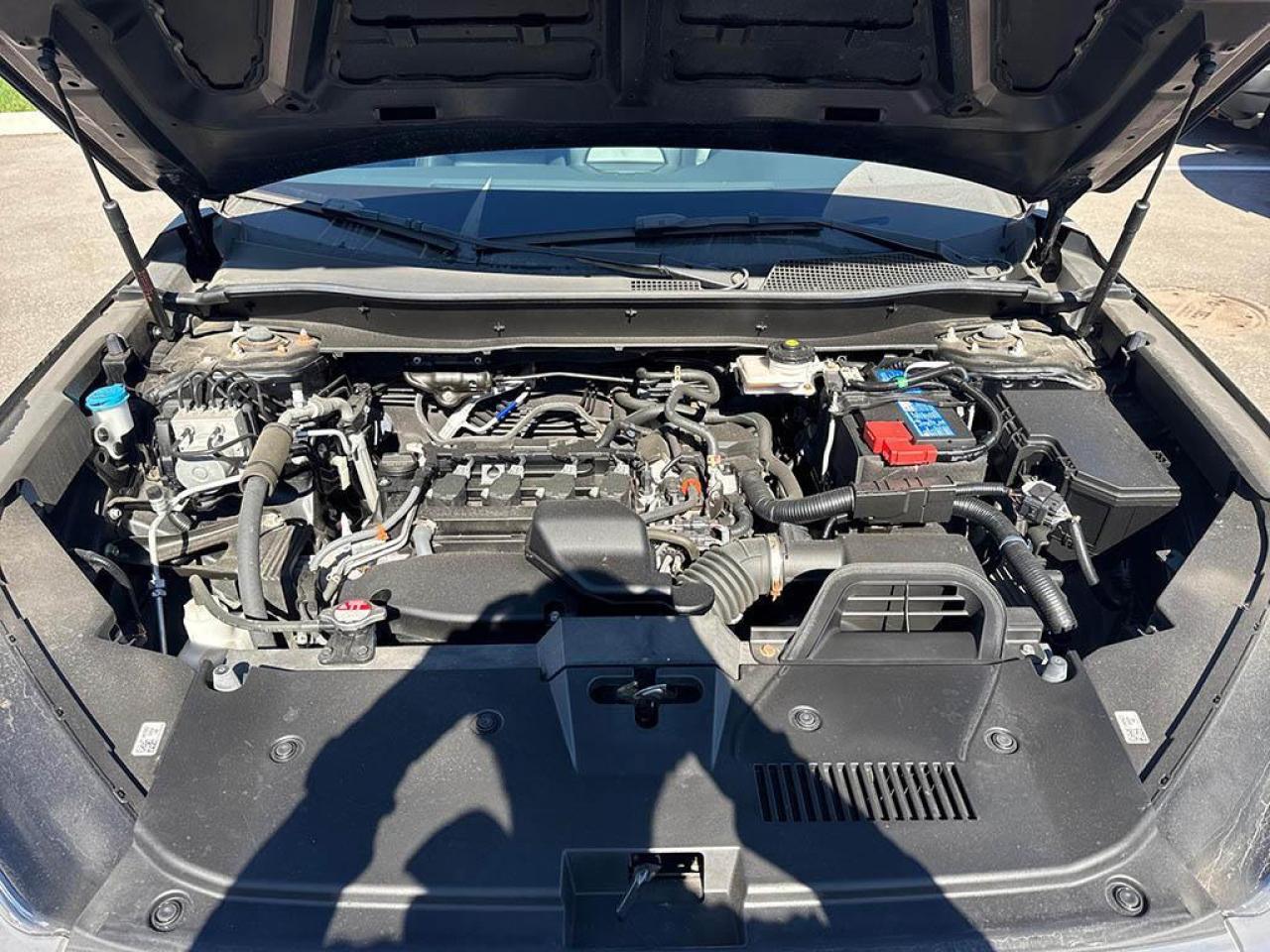 2023 Honda CR-V EX-L Photo