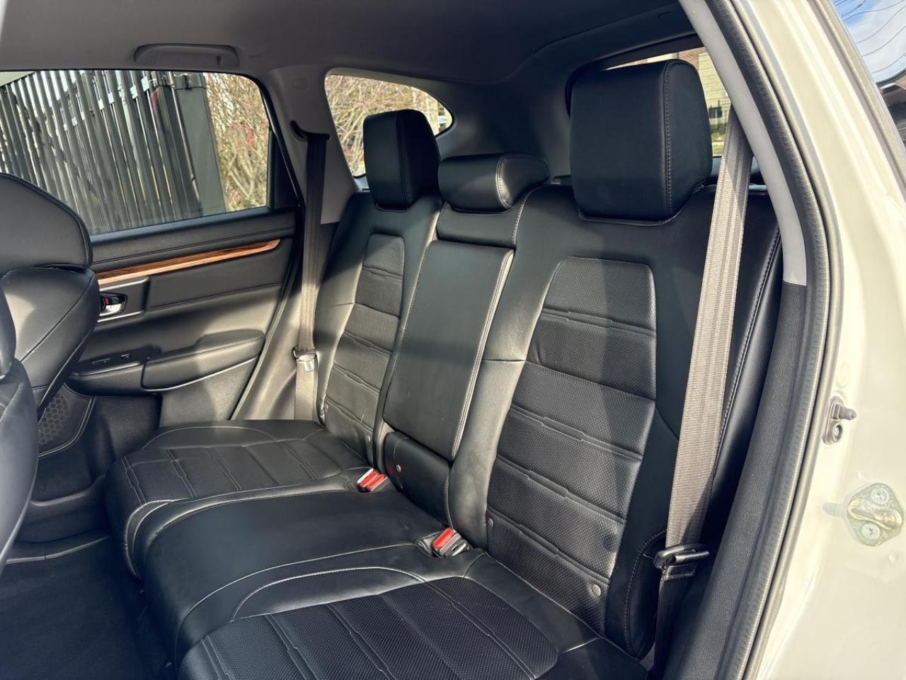 2020 Honda CR-V EX-L Photo