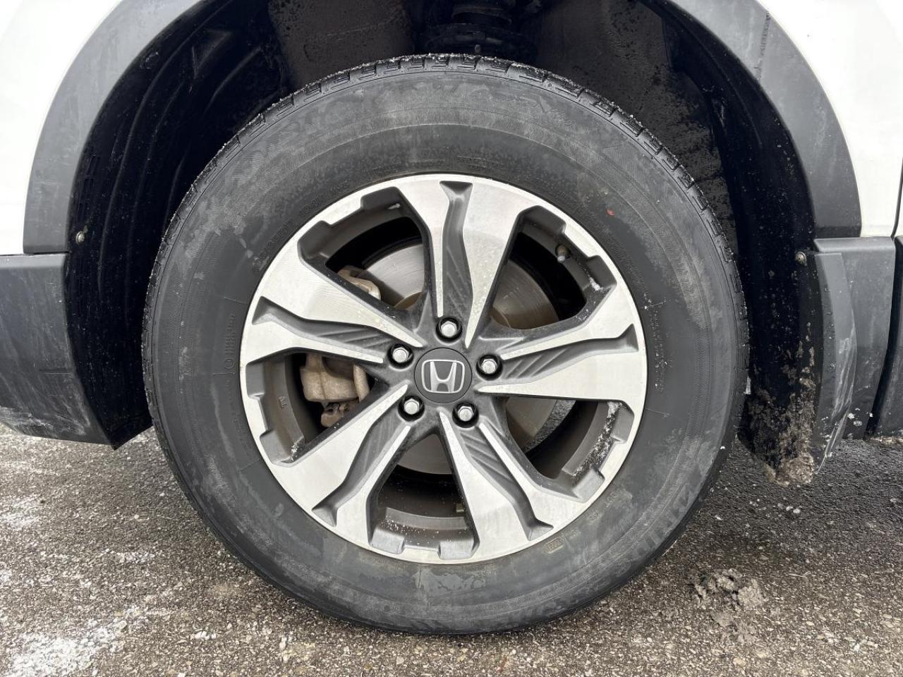 2021 Honda CR-V LX Photo