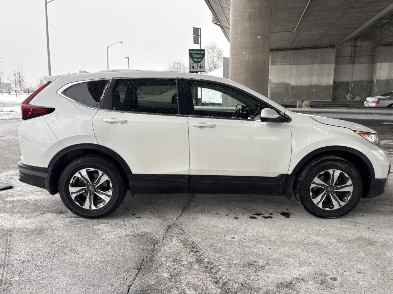 2021 Honda CR-V LX Photo