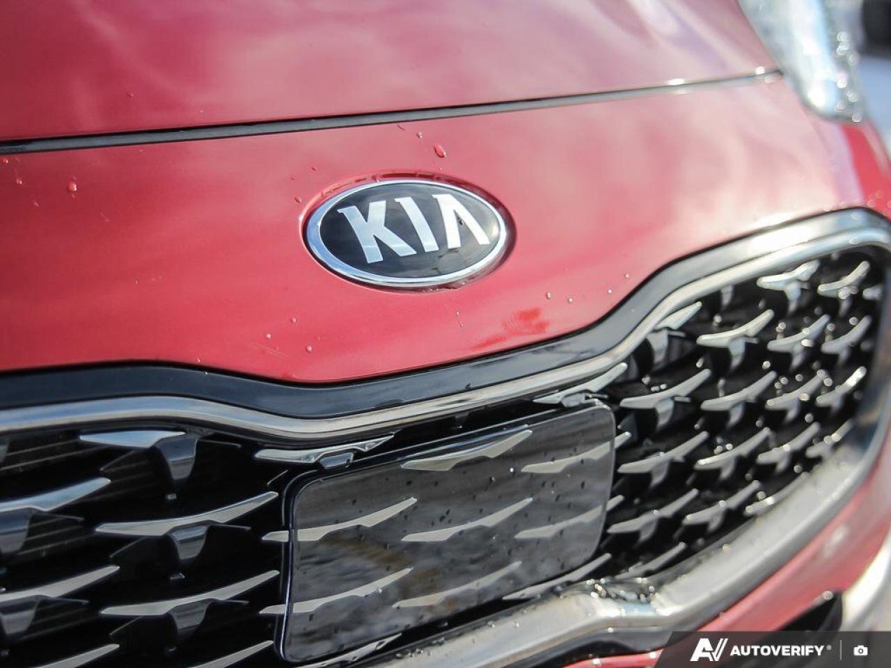 2022 Kia Sportage SX   AWD   Apple CarPlay   Heated & Cooled Seats Photo