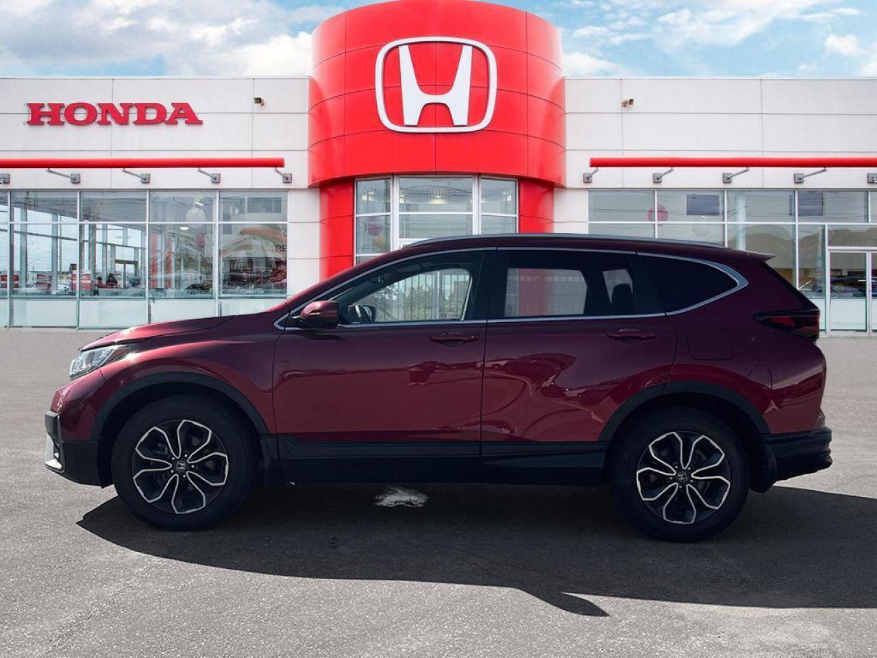 2021 Honda CR-V EX-L Photo