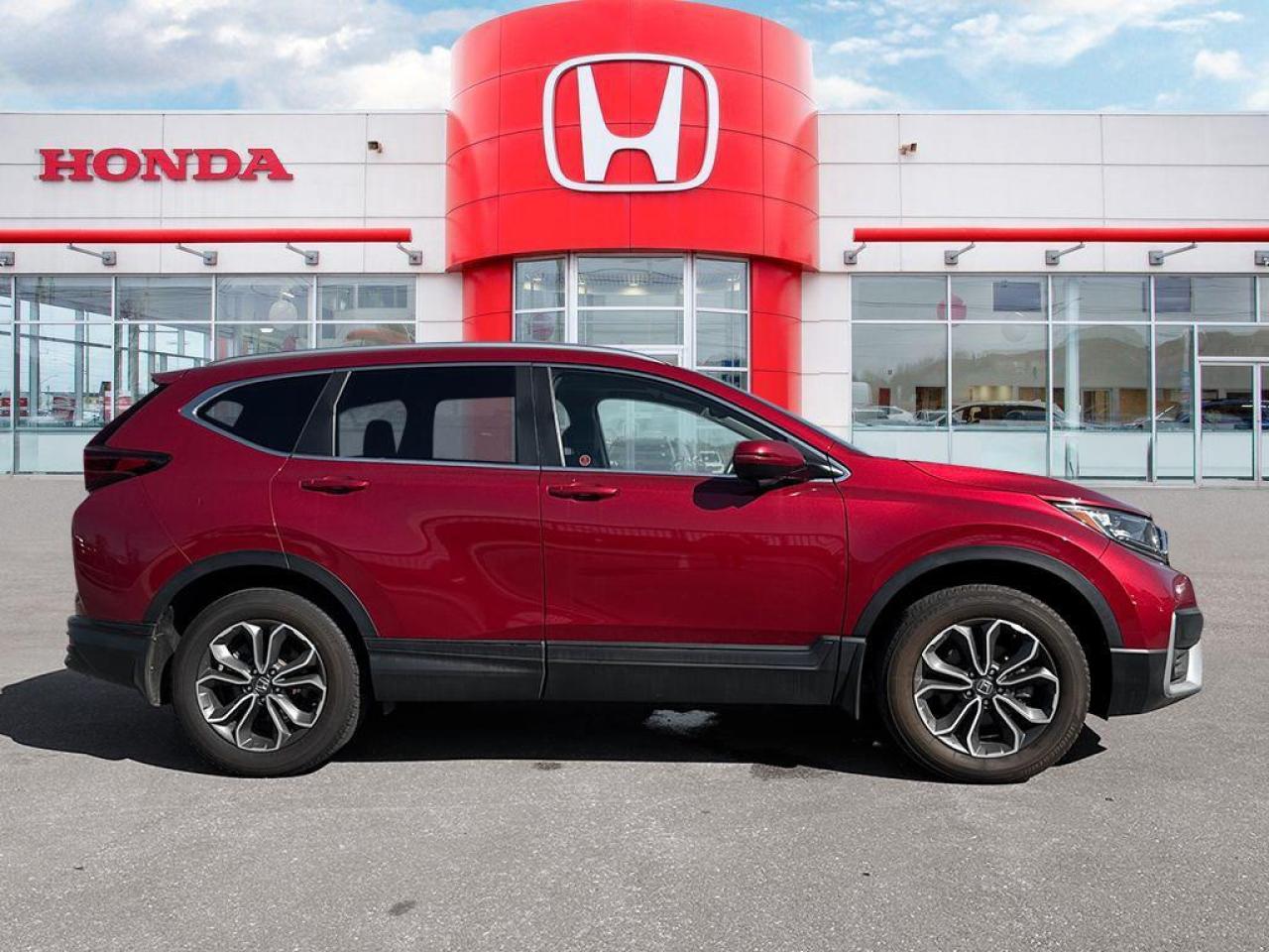 2021 Honda CR-V EX-L Photo