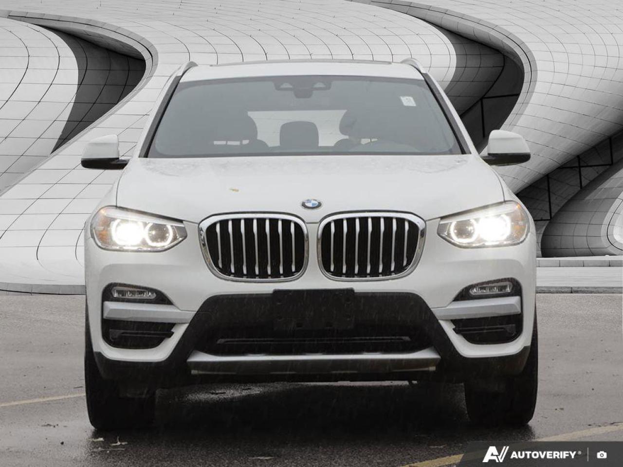 2019 BMW X3 xDrive30i Photo
