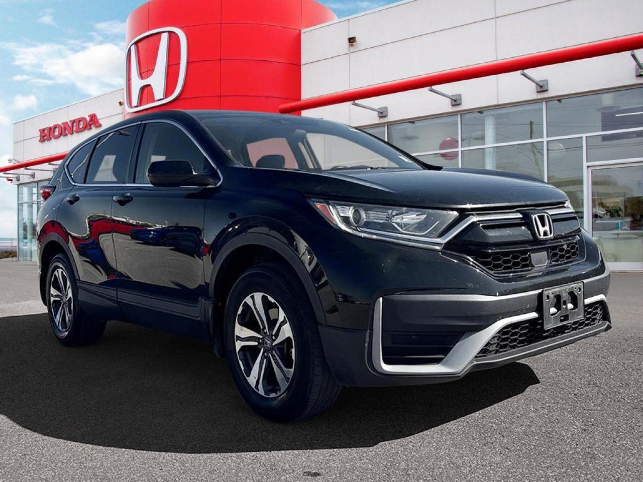2021 Honda CR-V LX Photo