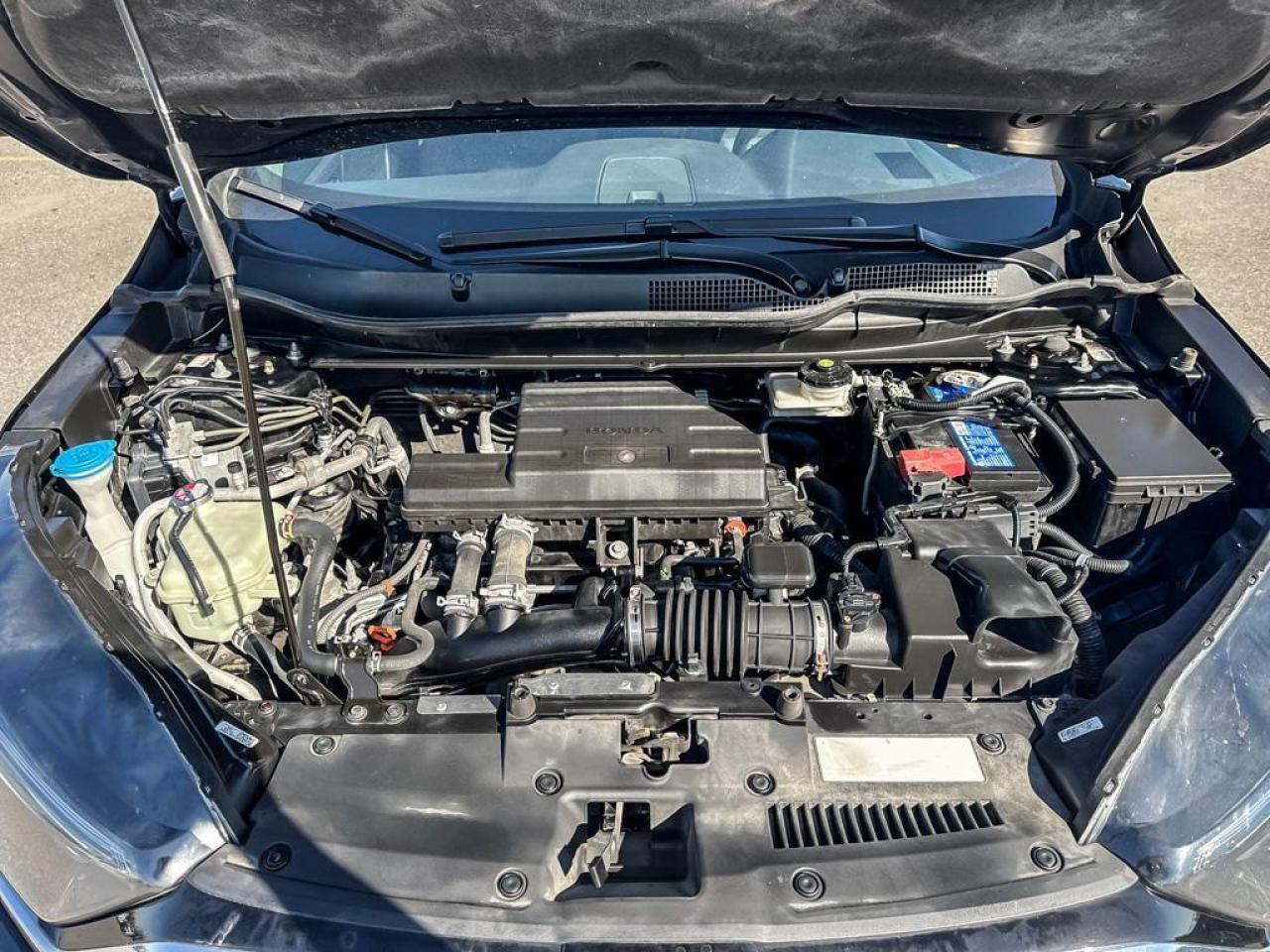 2021 Honda CR-V LX Photo