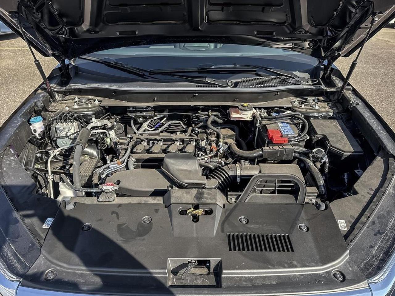 2025 Honda CR-V LX Photo