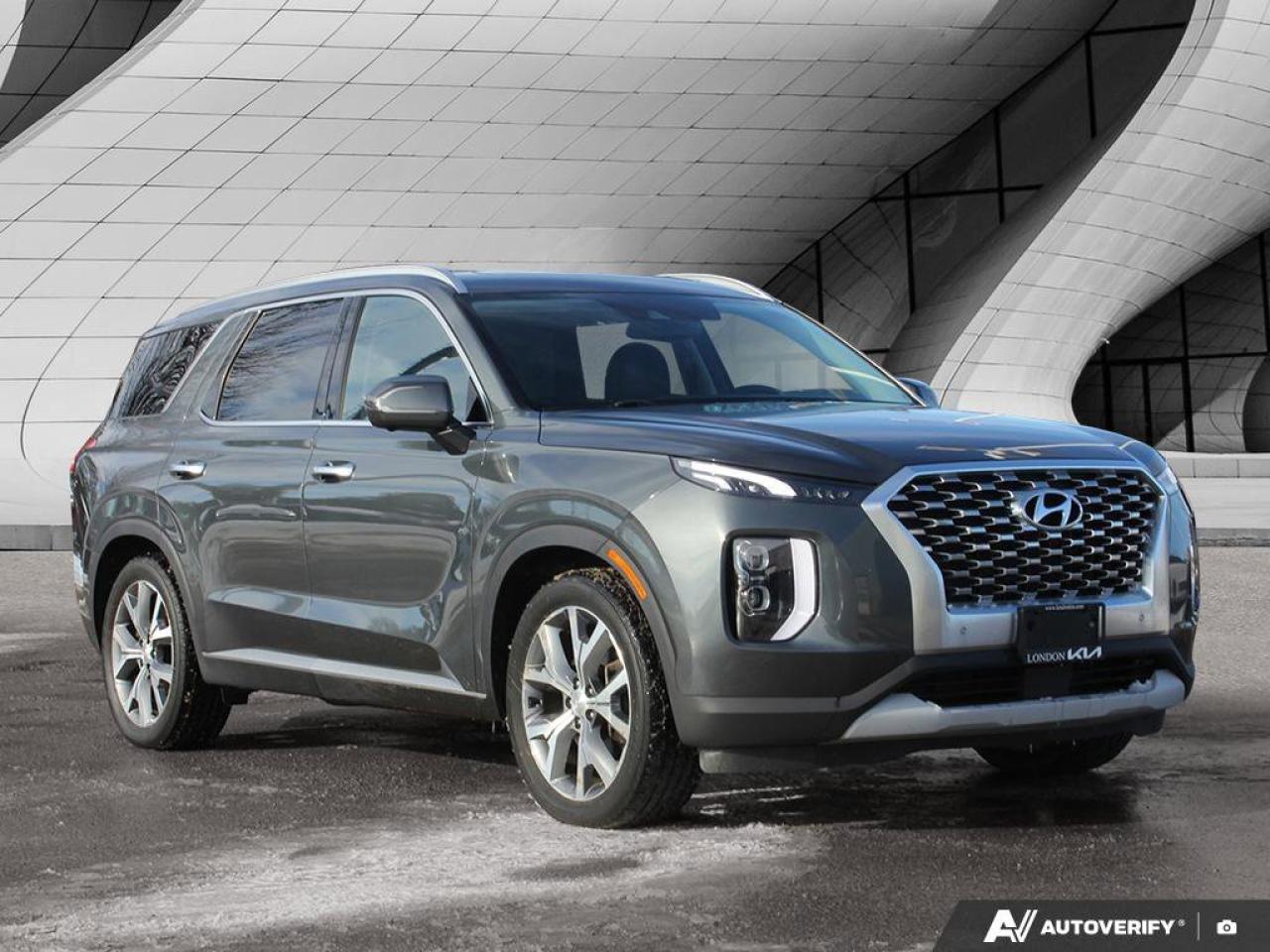 2022 Hyundai PALISADE LUXURY Photo