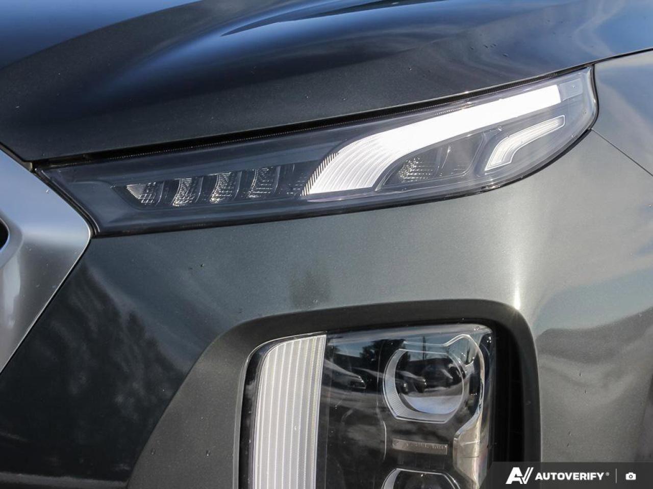 2022 Hyundai PALISADE LUXURY Photo