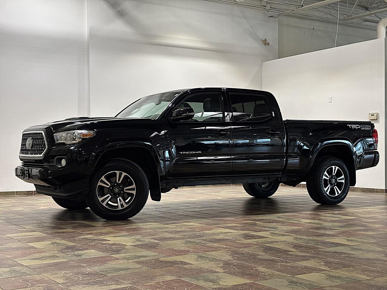 2019 Toyota Tacoma SR5 V6 Photo