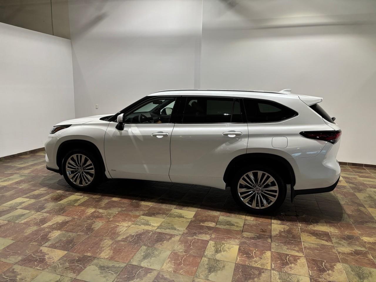 2025 Toyota Highlander Hybrid LIMITED Photo