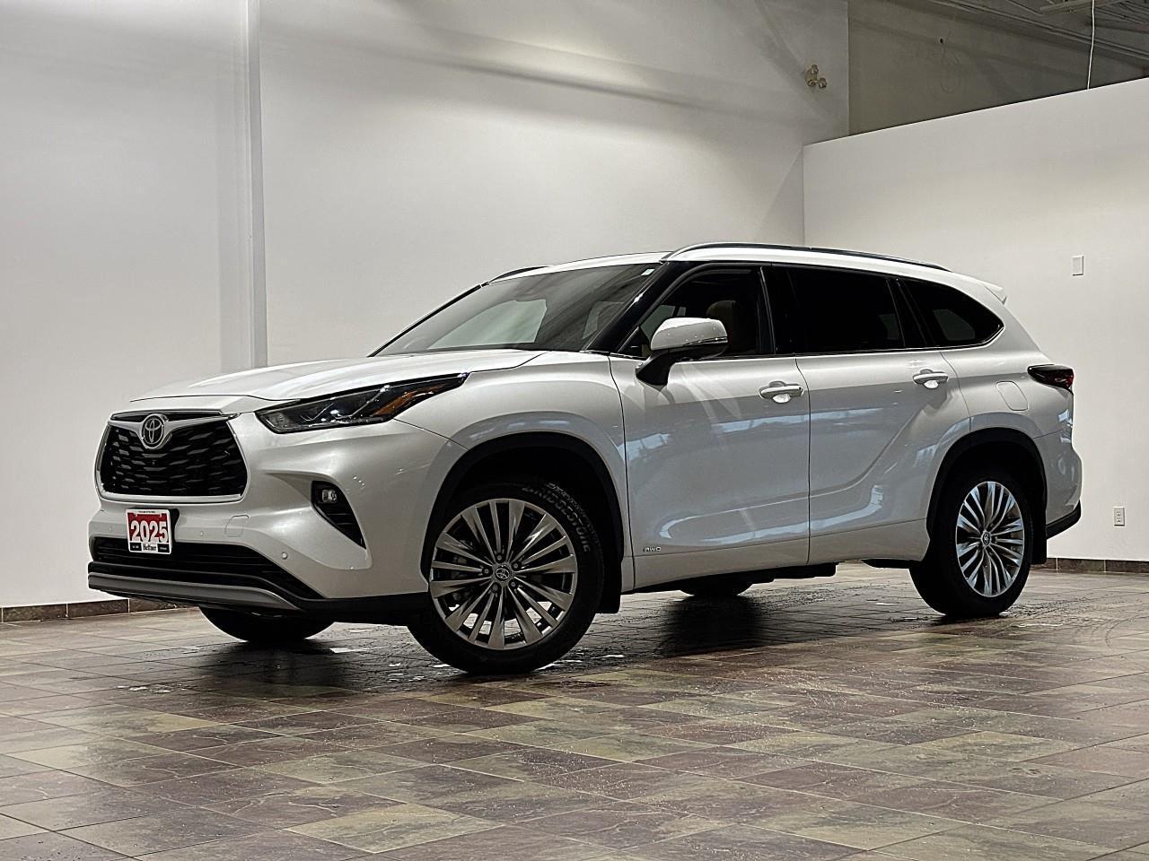2025 Toyota Highlander Hybrid LIMITED Photo