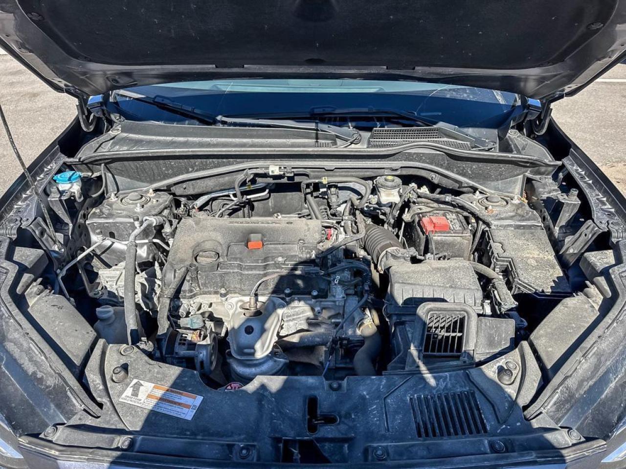 2024 Honda HR-V LX Photo