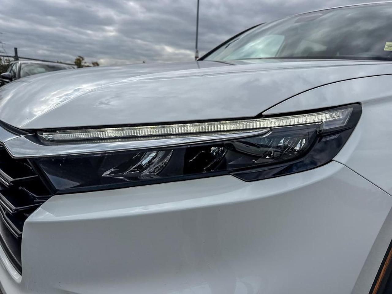 2025 Honda CR-V LX Photo