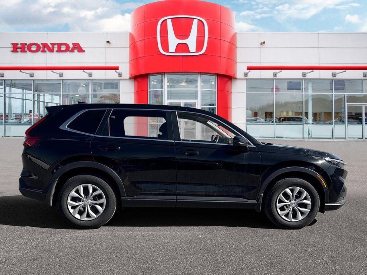 2023 Honda CR-V LX Photo