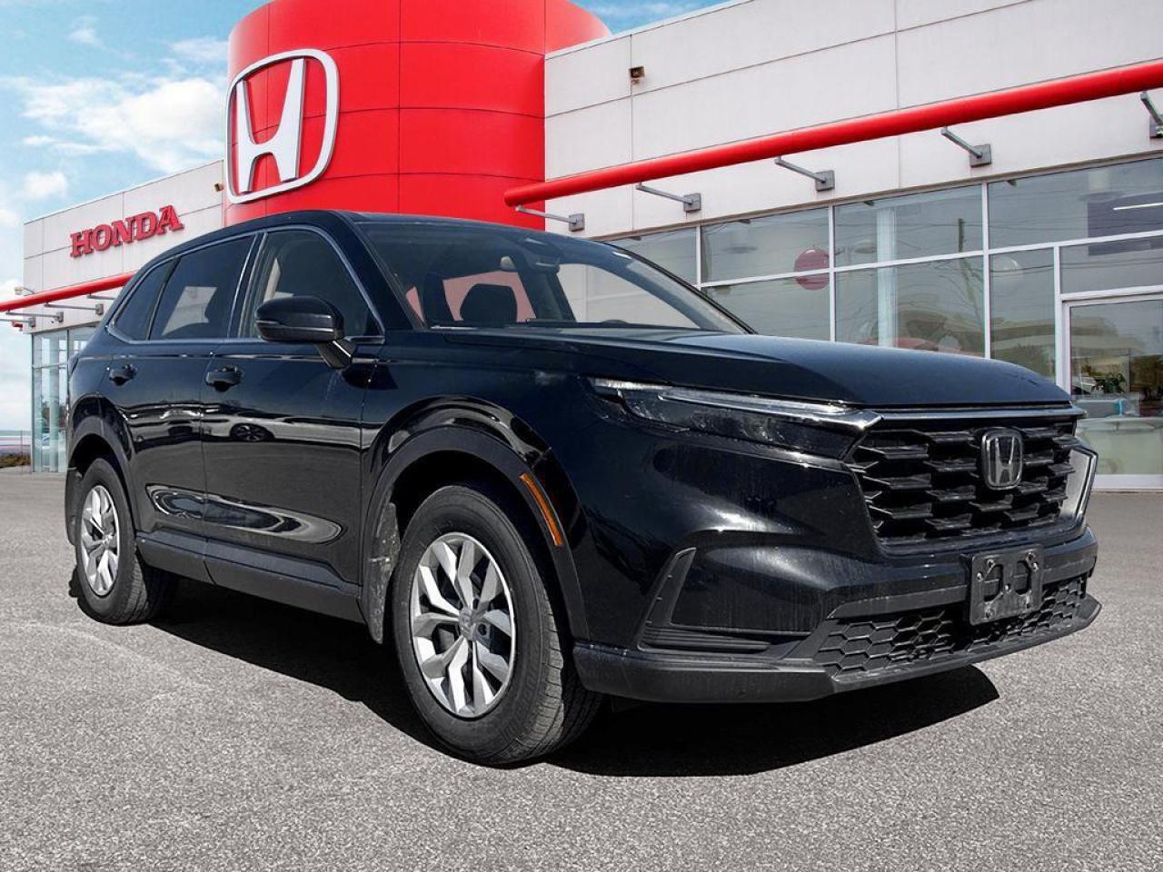 2023 Honda CR-V LX Photo